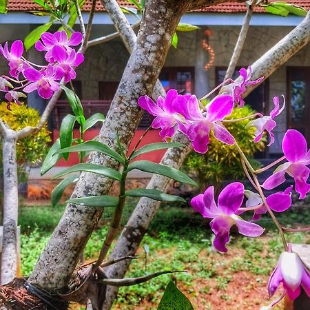 Vedic Heritage Boutique Hotel โกวาลัม ภายนอก รูปภาพ