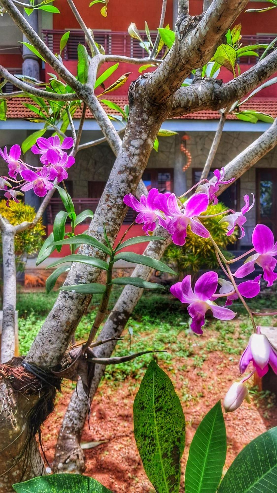 Vedic Heritage Boutique Hotel โกวาลัม ภายนอก รูปภาพ